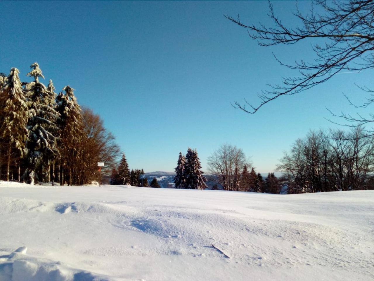 Fewo-Mueller Klingenthal Exterior photo